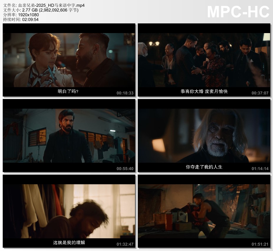 2025年马来西亚动作片《血亲兄弟》HD马来语中字