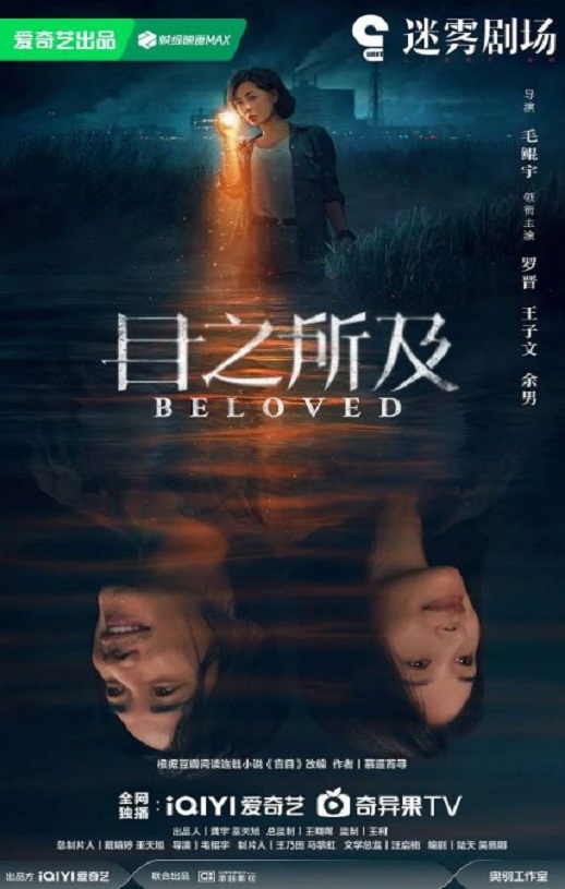 2025年国产大陆电视剧《目之所及》连载至04