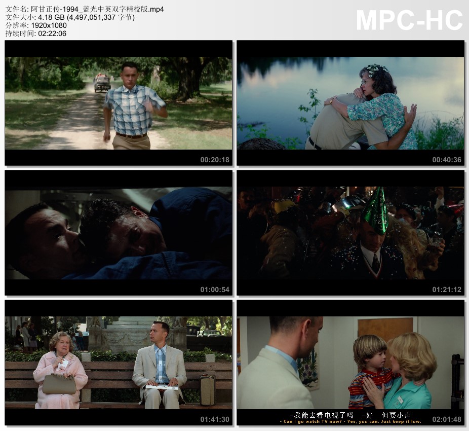 1994年美国经典剧情片《阿甘正传》蓝光中英双字精校版