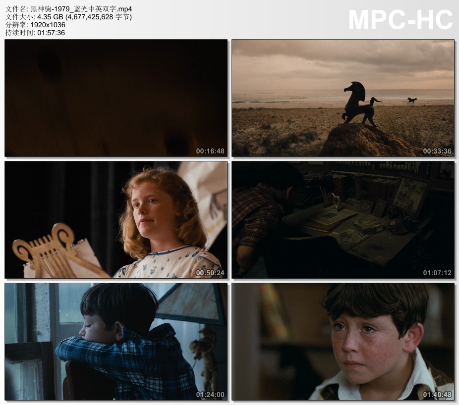 1979年美国经典家庭片《黑神驹》蓝光中英双字