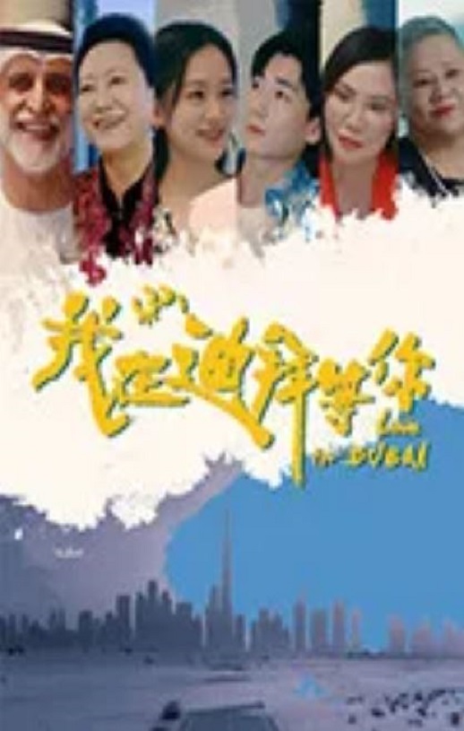 2025年国产大陆电视剧《我在迪拜等你》全24集