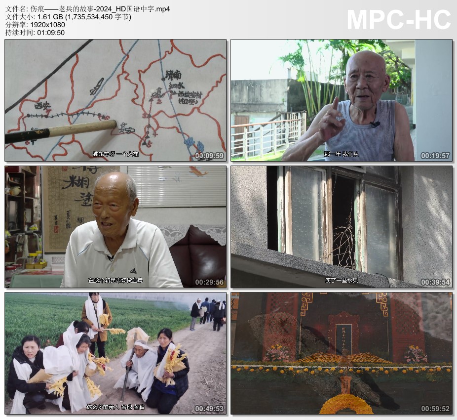 2024年中国台湾纪录片《伤痕——老兵的故事》HD国语中字