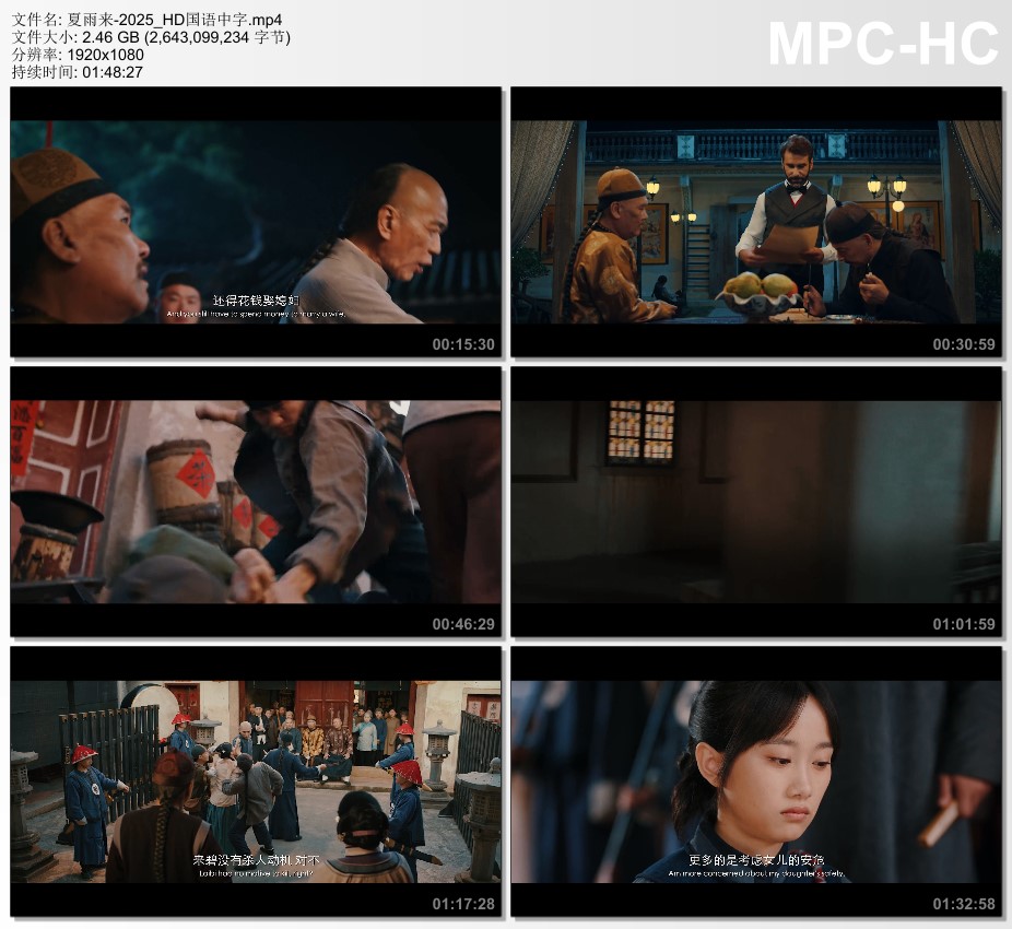 2025年国产喜剧片《夏雨来》HD国语中字