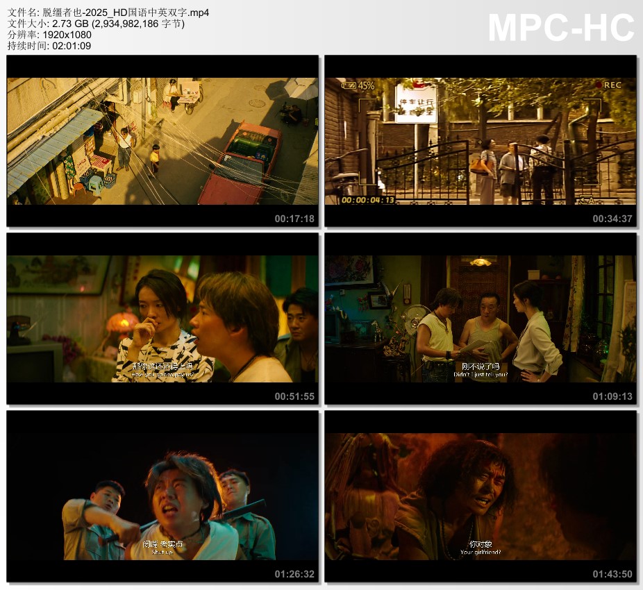 2025年国产喜剧犯罪片《脱缰者也》HD国语中英双字