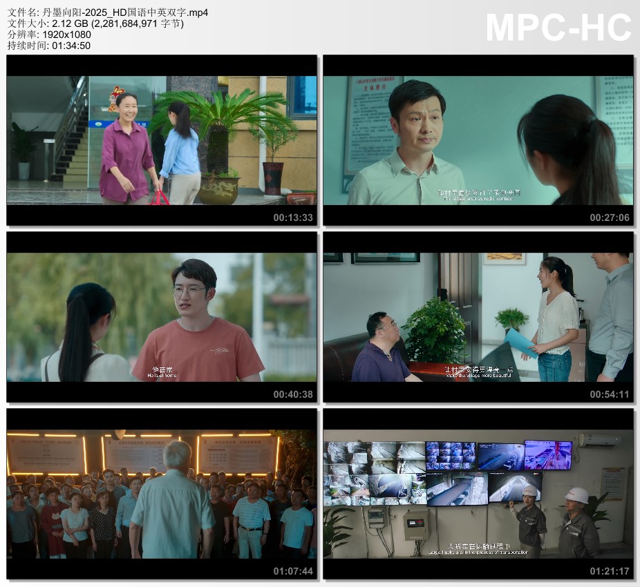 2025年国产剧情片《丹墨向阳》HD国语中英双字