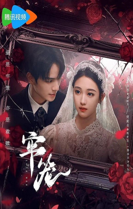 2025年国产大陆电视剧《牢笼》全24集