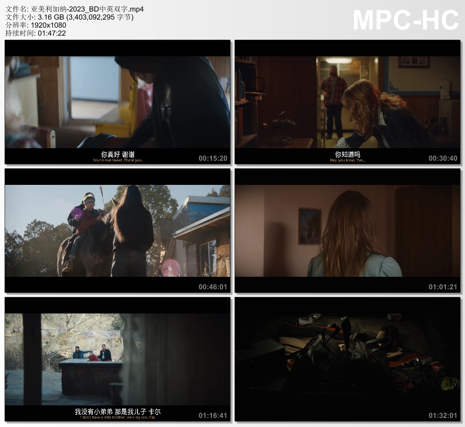 2023年美国喜剧动作片《亚美利加纳》BD中英双字