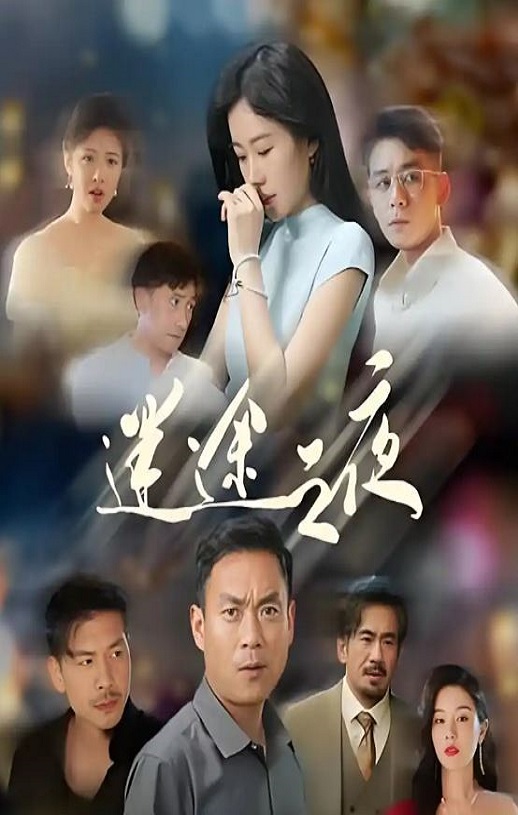 2025年国产大陆电视剧《迷途之夜》全14集