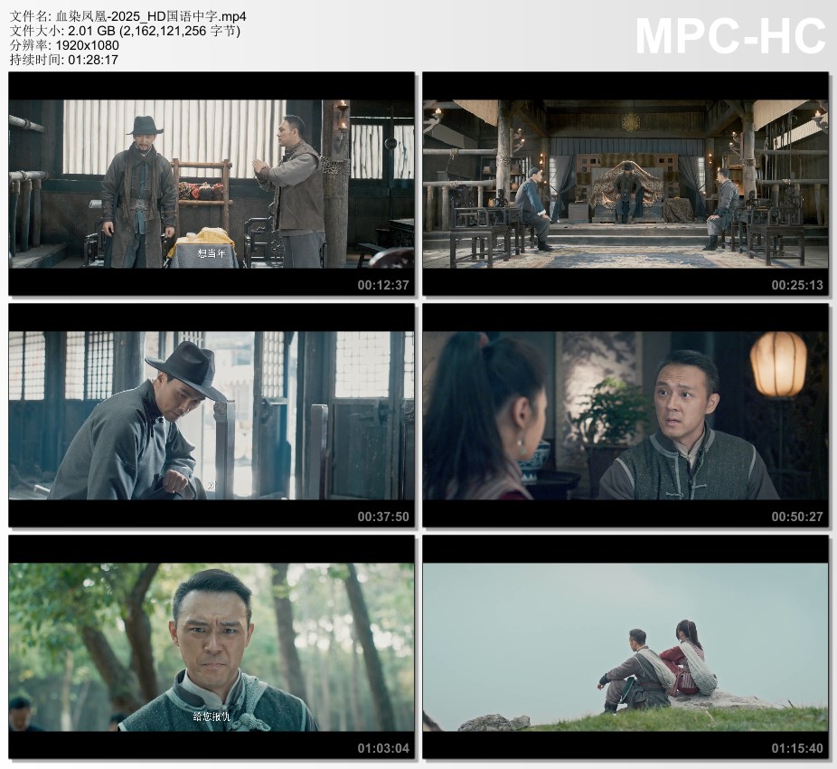 2025年国产动作片《血染凤凰》HD国语中字