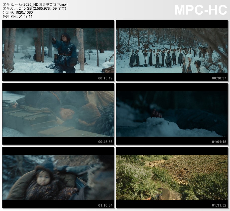 2025年国产战争片《生还》HD国语中英双字