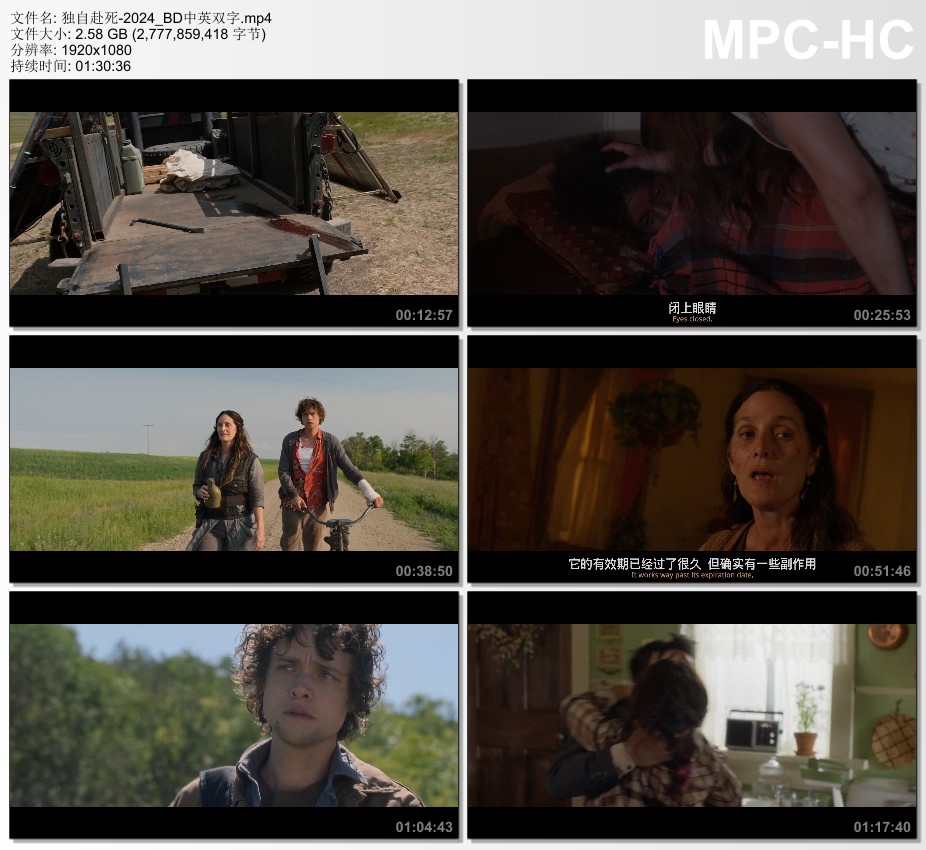 2024年加拿大惊悚片《独自赴死》BD中英双字