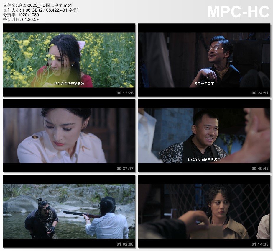 2025年国产动作片《追凶》HD国语中字