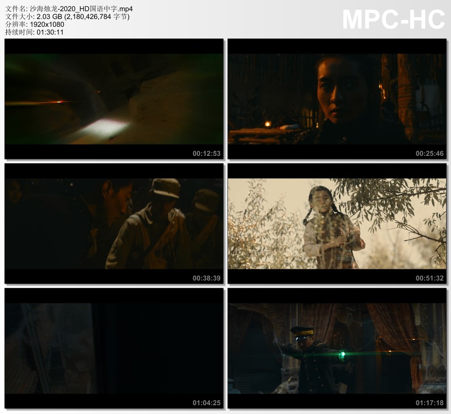 2020年国产动作片《沙海烛龙》HD国语中字