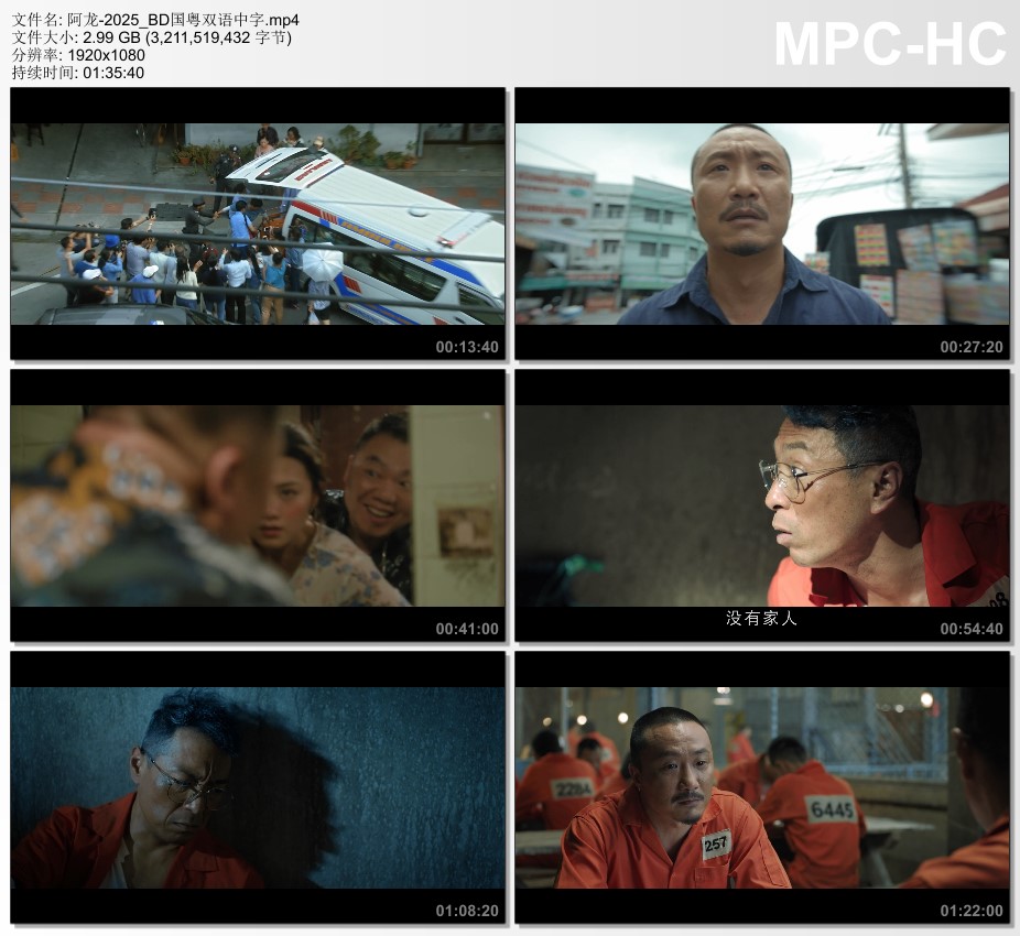 2025年中国香港动作片《阿龙》BD国粤双语中字