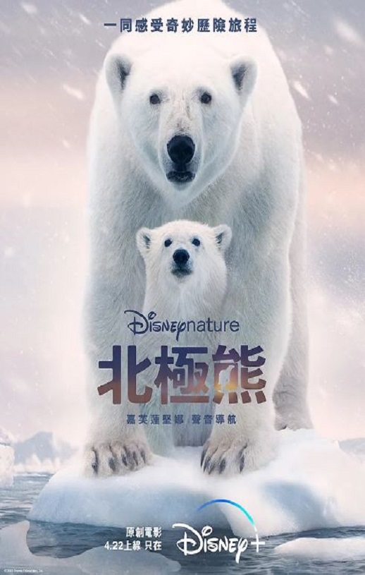 2022年美国纪录片《北极熊》HD国粤英三语中字