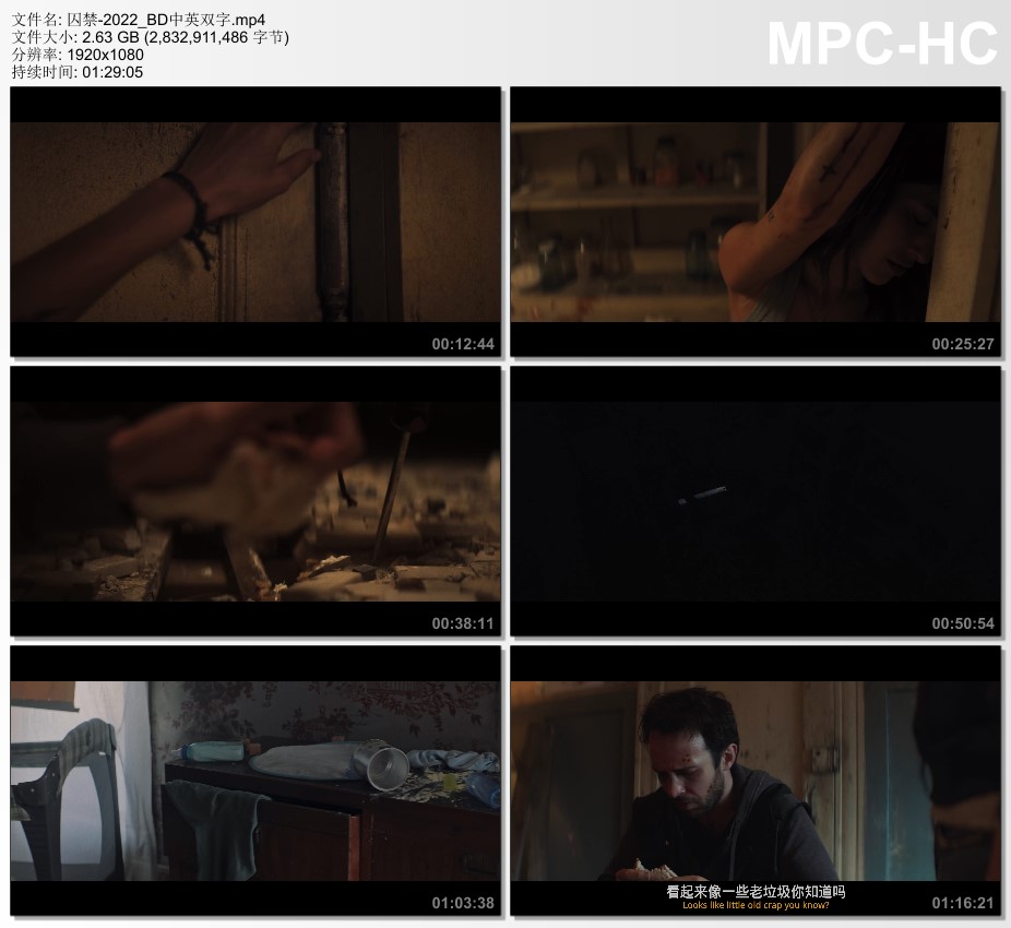 2022年美国惊悚片《囚禁》BD中英双字