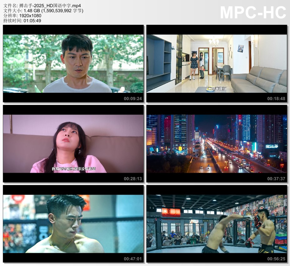 2025年国产动作片《搏击手》HD国语中字