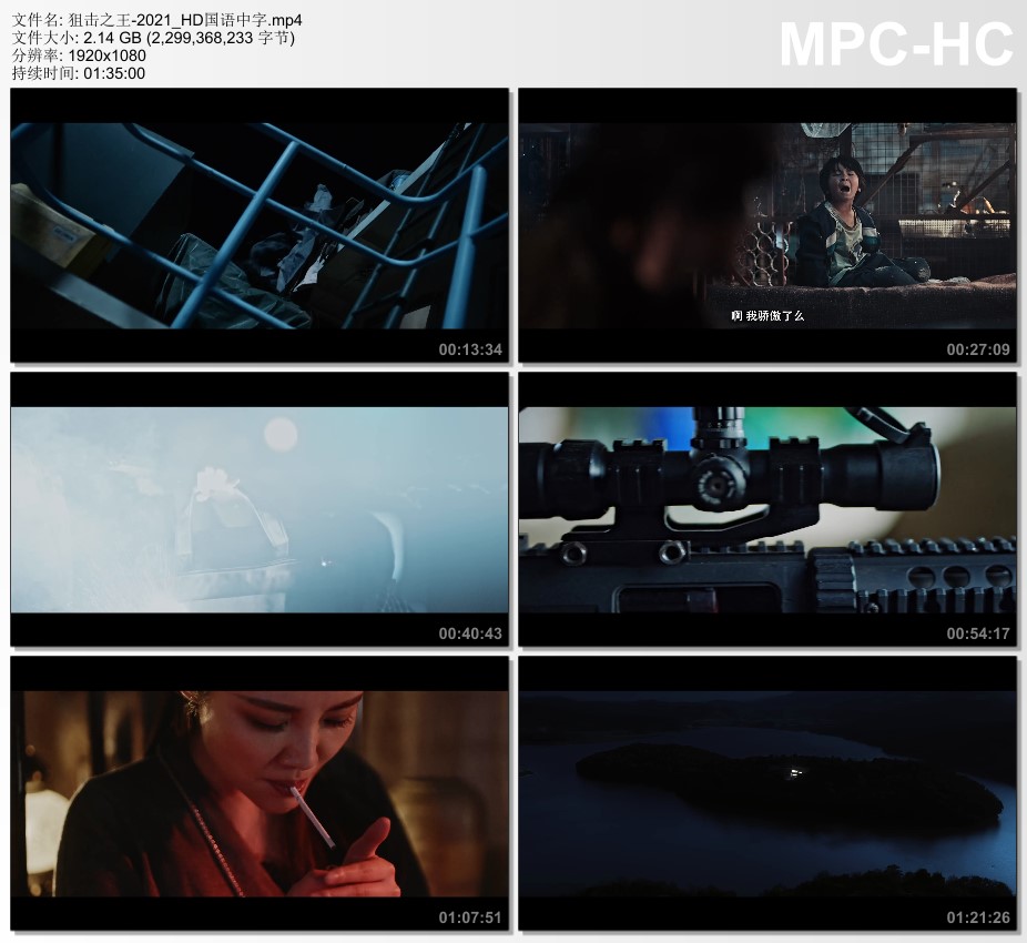 2021年国产动作片《狙击之王》HD国语中字