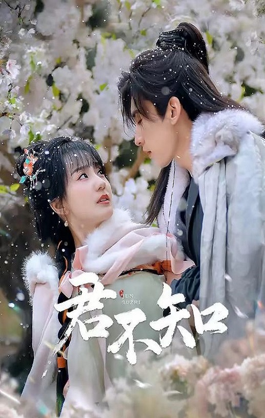 2025年国产大陆电视剧《君不知》连载至06