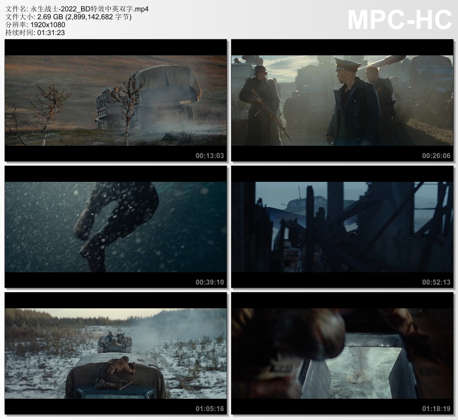 2022年芬兰动作片《永生战士》BD特效中英双字