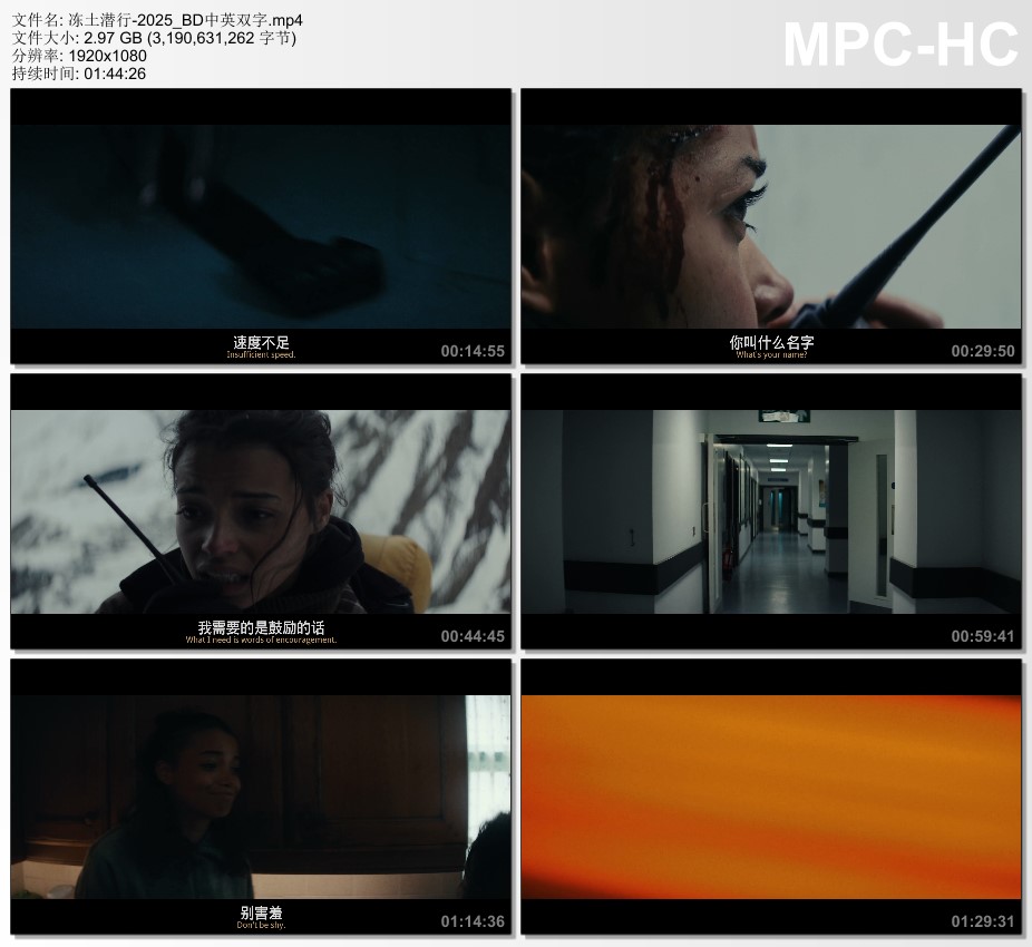 2025年荷兰悬疑片《冻土潜行》BD中英双字