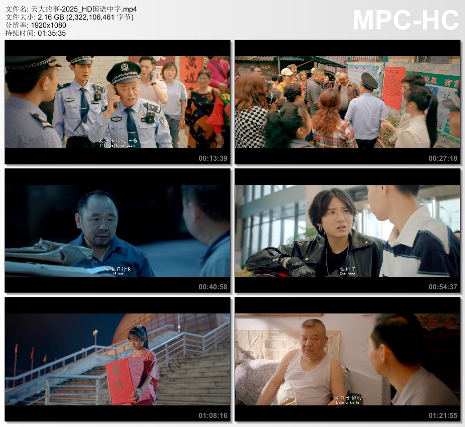 2025年国产剧情片《天大的事》HD国语中字
