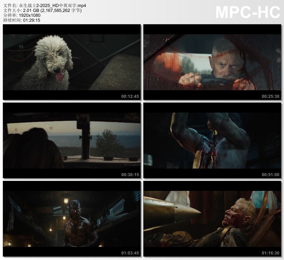 2025年芬兰动作片《永生战士2》HD中英双字