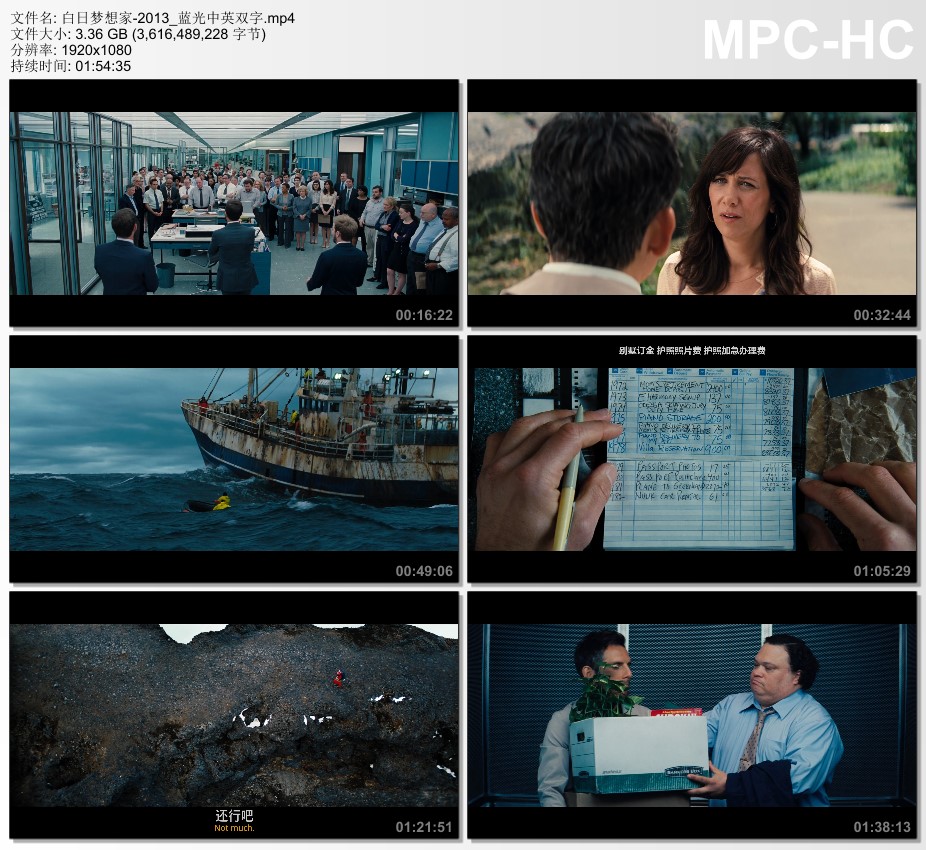 2013年美国经典喜剧片《白日梦想家》蓝光中英双字