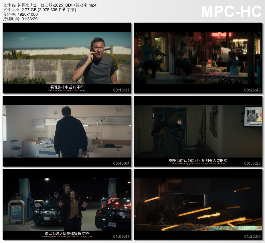 2025年美国动作片《神探忠犬2：狼之城》BD中英双字