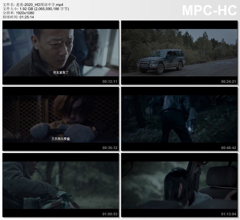 2020年国产悬疑片《老虎》HD国语中字