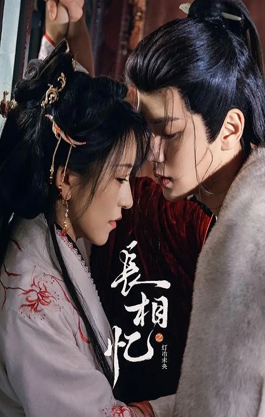 2025年国产大陆电视剧《长相忆之灯冶未央》连载至06