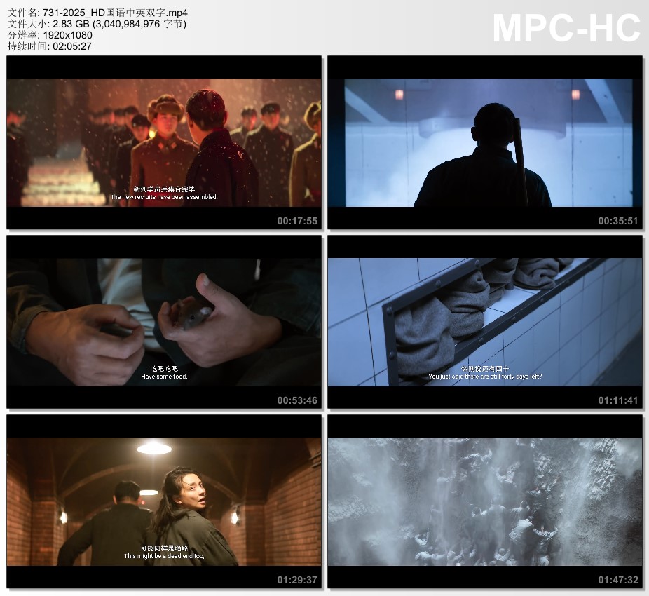 2025年国产战争片《731》HD国语中英双字