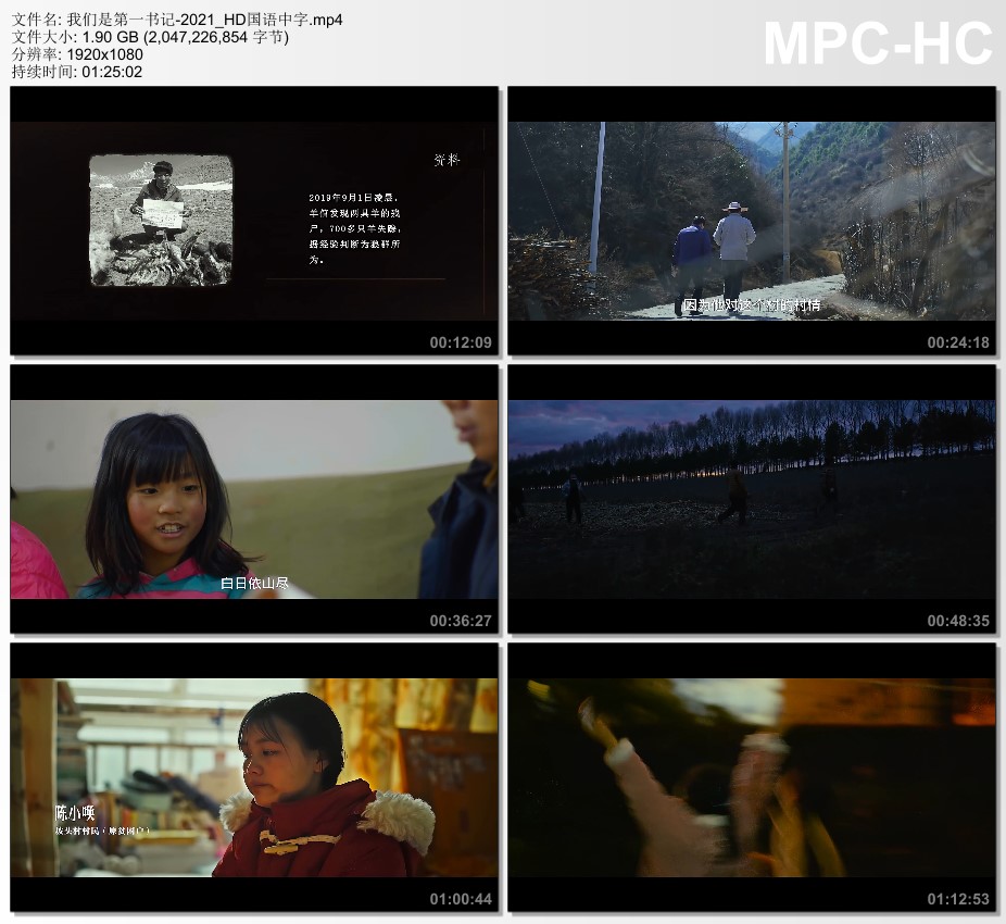 2021年国产8.1分纪录片《我们是第一书记》HD国语中字