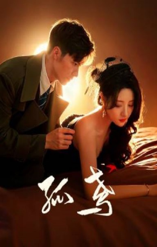 2025年国产大陆电视剧《孤鸢》全24集