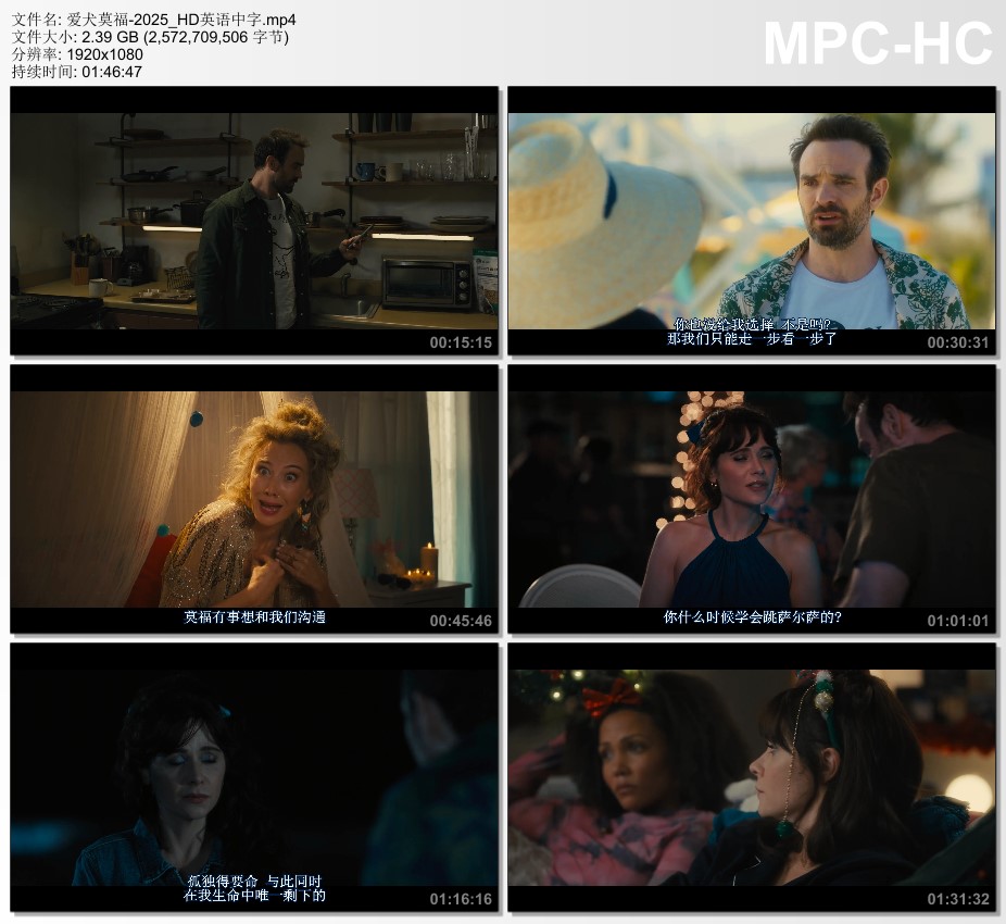 2025年美国喜剧片《爱犬莫福》HD英语中字