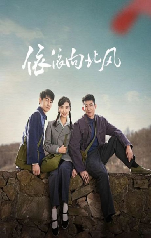2025年国产大陆电视剧《依依向北风》全38集
