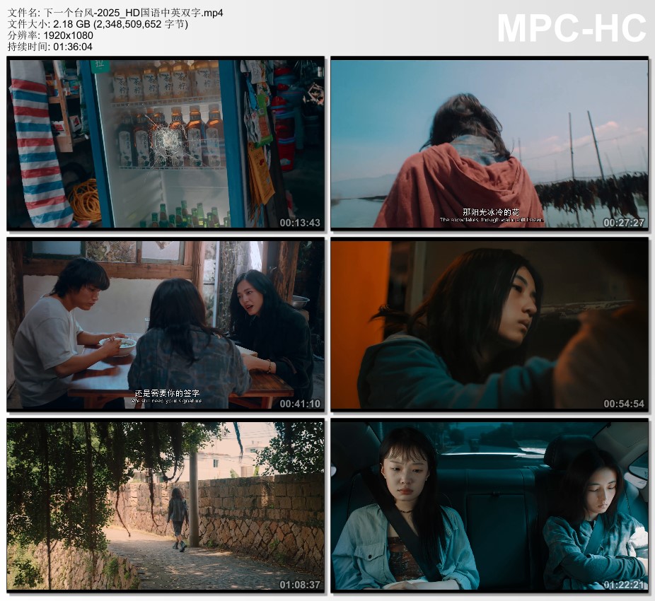 2025年国产剧情片《下一个台风》HD国语中英双字