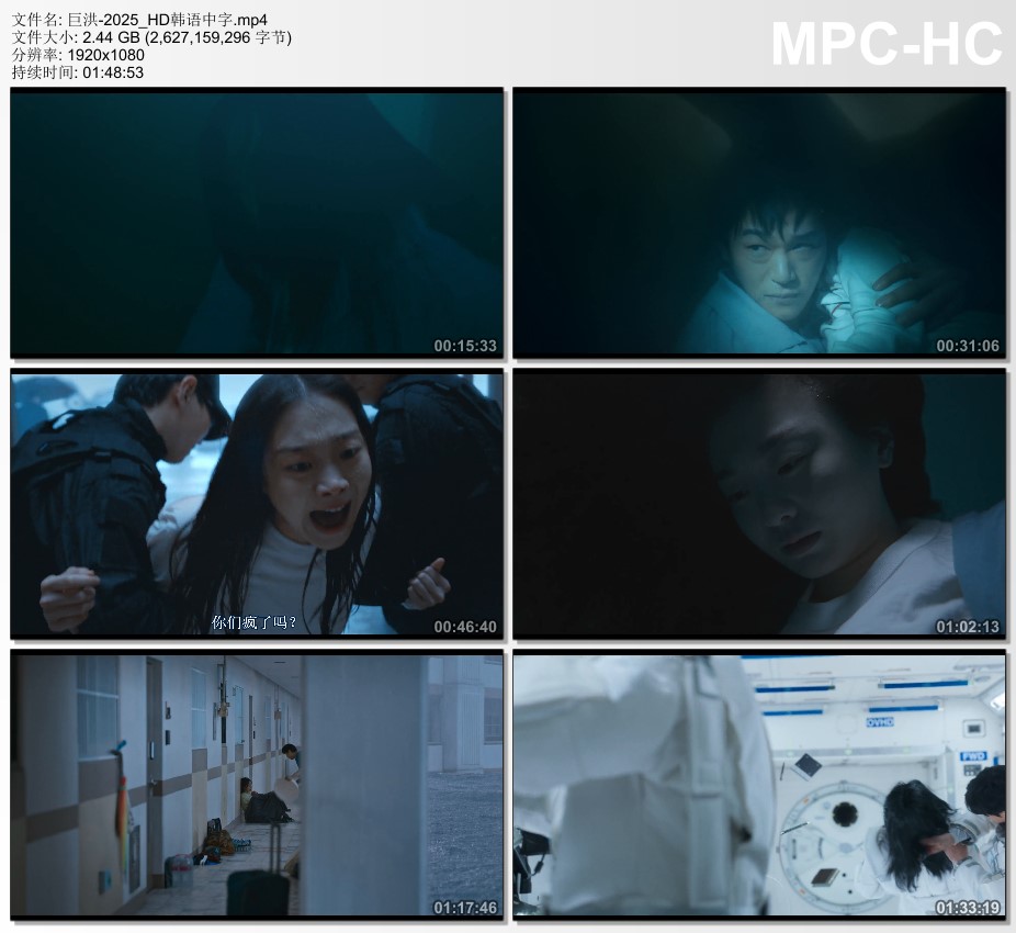 2025年韩国动作片《巨洪》HD韩语中字