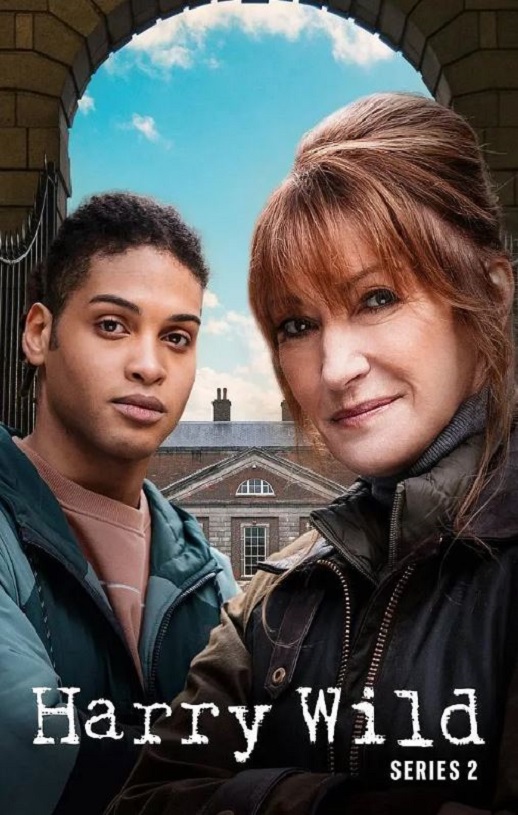 2023年爱尔兰电视剧《野探哈莉 第二季》全6集