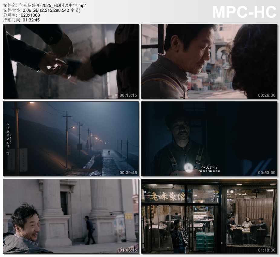 2025年国产剧情《向光花盛开》HD国语中字