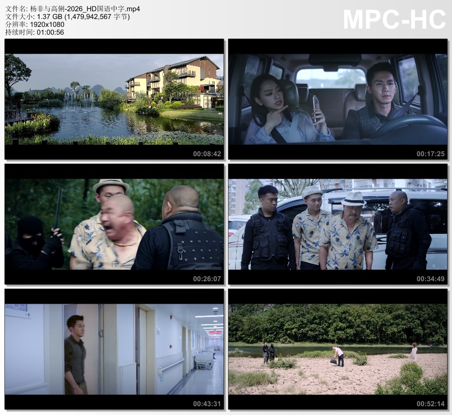 2026年国产爱情片《杨非与高俐》HD国语中字