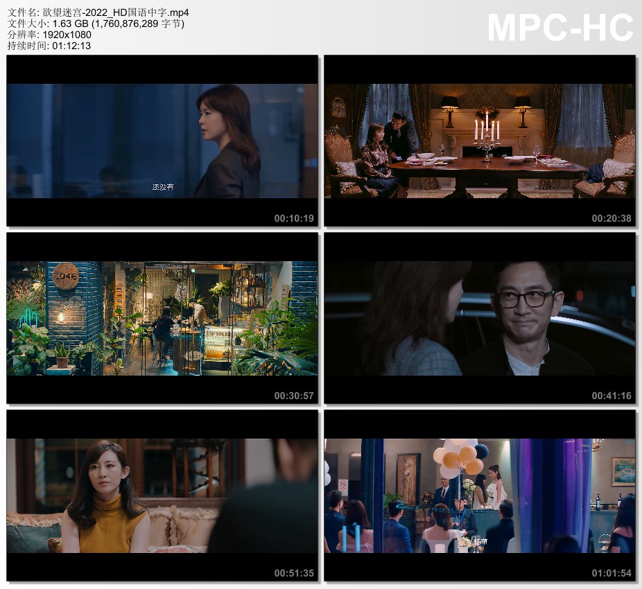 2022年国产爱情片《欲望迷宫》HD国语中字