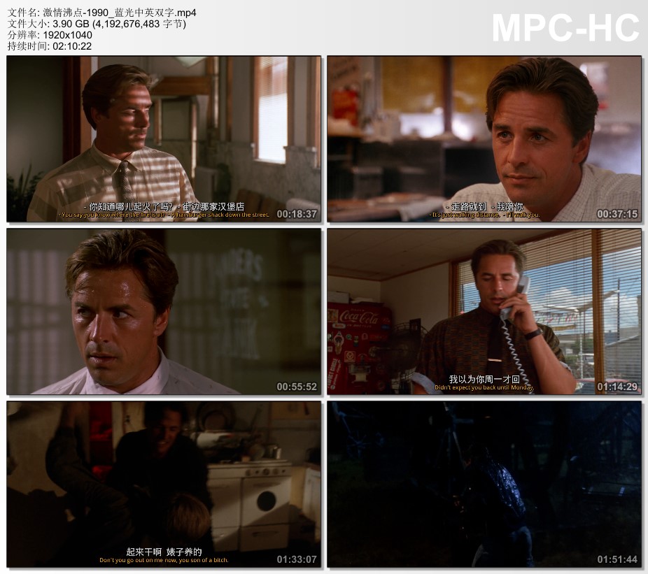 1990年美国经典爱情片《激情沸点》蓝光中英双字