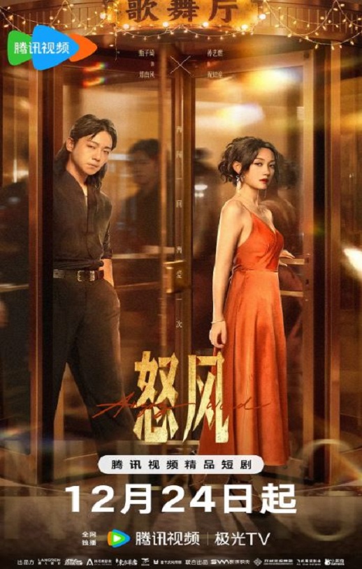 2025年国产大陆电视剧《怒风》全24集