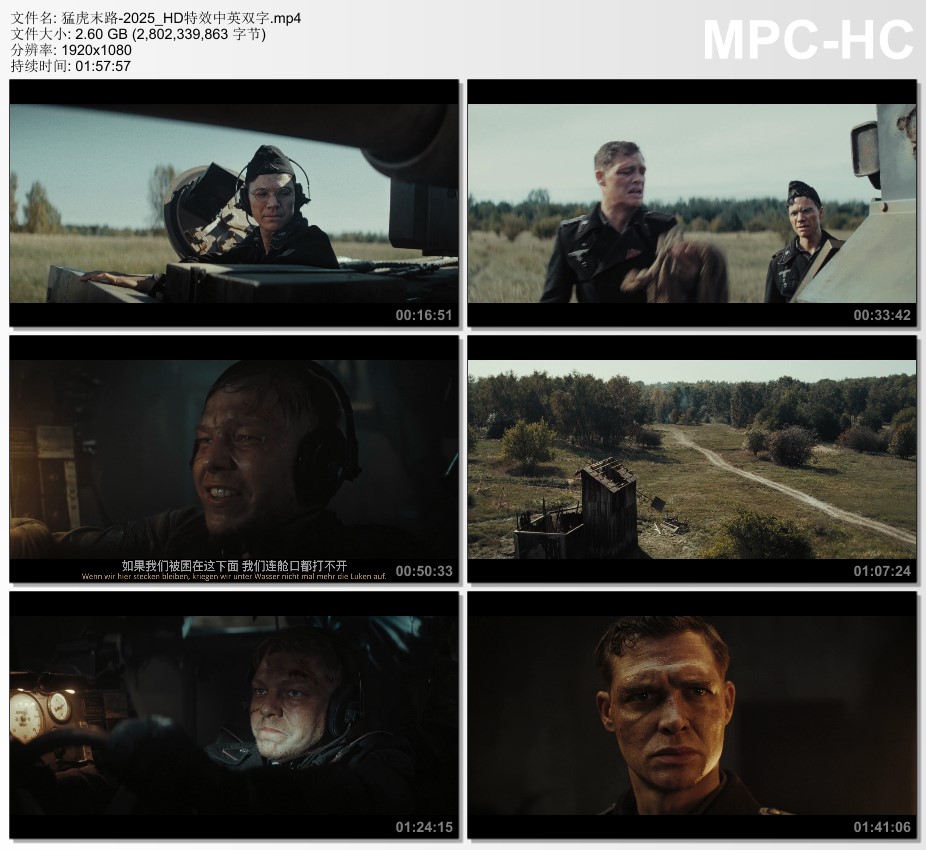 2025年德国动作片《猛虎末路》HD特效中英双字