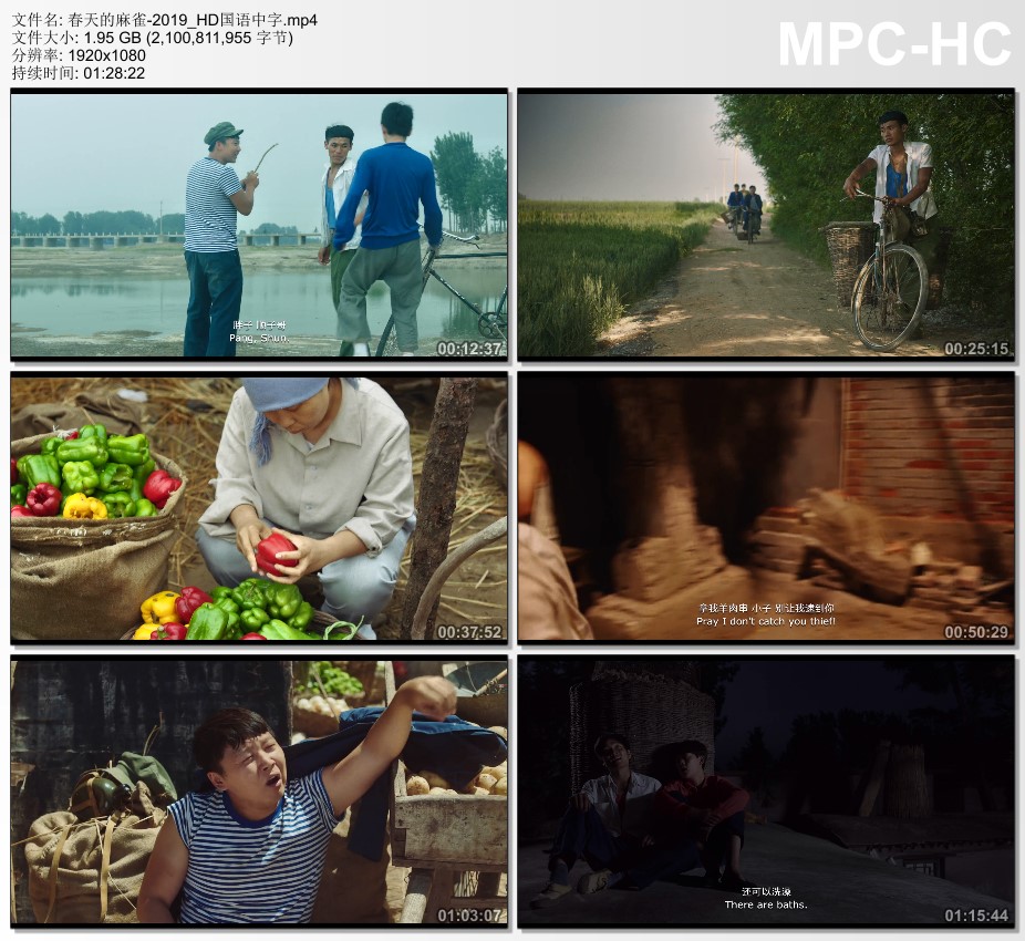 2019年国产剧情片《春天的麻雀》HD国语中字