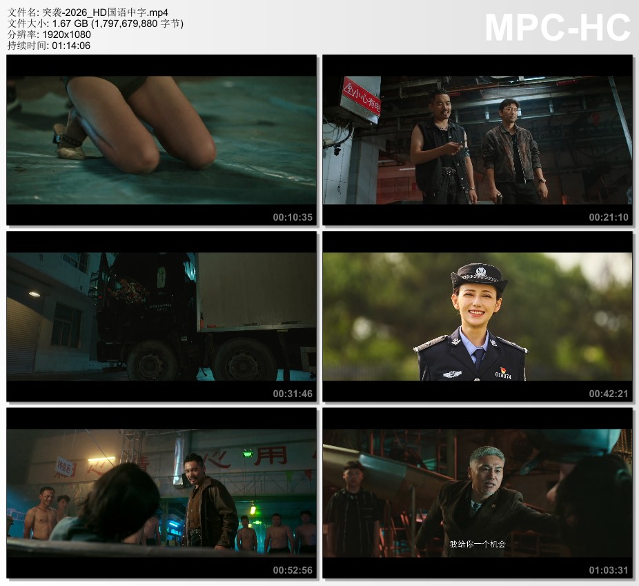 2026年国产犯罪片《突袭》HD国语中字