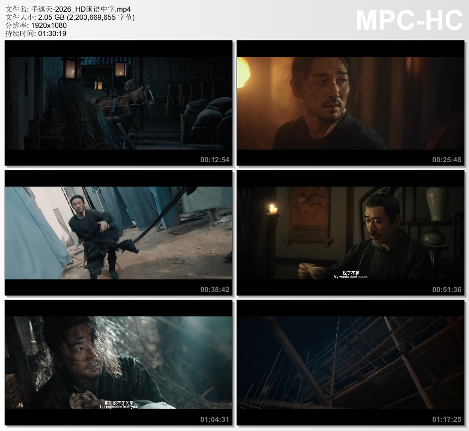 2026年国产动作片《手遮天》HD国语中字