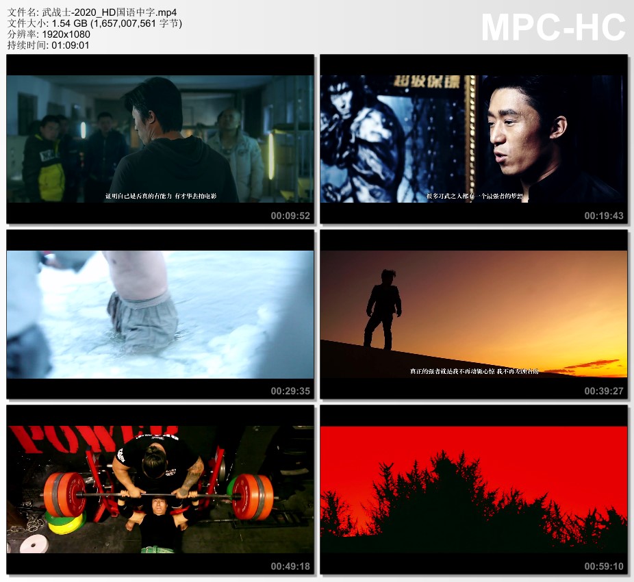 2020年国产传记片《武战士》HD国语中字