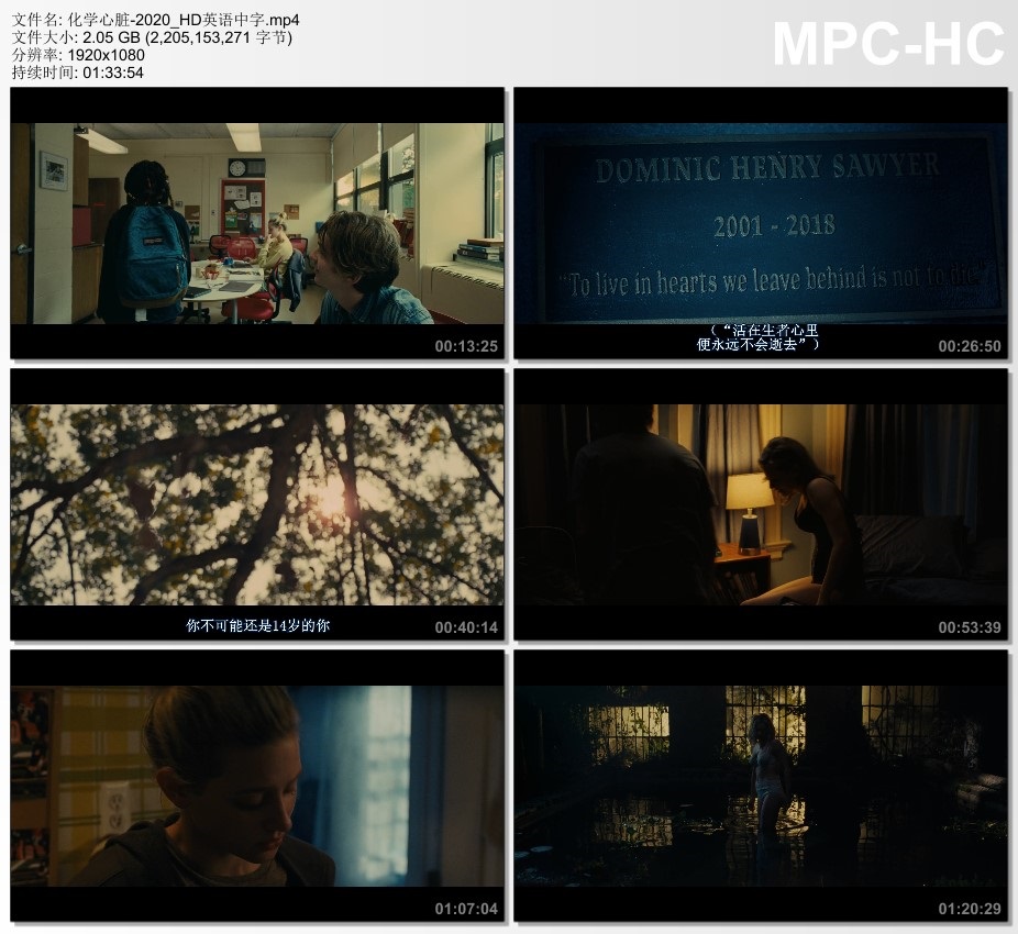 2020年美国爱情片《化学心脏》HD英语中字